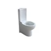 South America Bathroom Two Piece Ceramic Toilet with Soft-closing Seat Cover