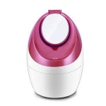 Special Design Mini Ionic Nano Facial Steamer Machine With Make-Up Mirror