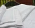 Import Summer white hotel bath towel face towel cloth china supply from China