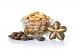 SUPPLY VIETNAM ROASTED SACHI INCHI NUT WITH HOT SALE