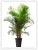 Import TEL +8618924003579 hawaii palm leaves artificial palm tree  bonsai from China