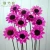 Import The Fine Quality Hand-made Chrysanthemum Product Dry Wholesale Dried Flowers from China