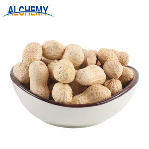 the largest supplier of peanuts kernel and best quality peanuts kernel