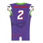 Top quality Custom American football jersey sublimation, tackle twill, screen printing