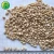 Import Top Quality Pine Nuts Prices Chilgoza Pine Nuts Shelled from China