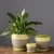 Import Twill Design Cylinder Bowl 6 Inches Ceramic Flower Pot Home Decor With Saucer from China