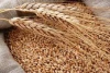 Ukrainian best quality whole wheat