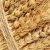 Import Ukrainian High Quality Selected Wheat from Ukraine
