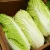 Import Ukrainian Natural Fresh Celery Peking Cabbage from Ukraine