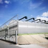 Ultraviolet-Proof Plastic Film Agricultural Greenhouse For Tomato Production