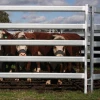 Quality Used Horse Fence Panels Cheap Cattle Panels For Sale