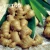 Import Vietnamese A Grade Fresh Ginger Especially for Bangladesh Customer from Vietnam