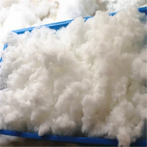 Virgin or Recycled Hollow Polyester Staple Fiber 7D * 64mm