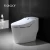 Import WC tankless smart toilet bowl electronic bidet from China
