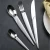 Import Wedding gifts for guests flatware with gift box hot sale knife spoon fork set dinnerware set from China