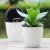 Import White plastic Succulent Cactus Planter Flower Pots with Bamboo Tray for Home Decoration from China