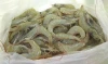 White Shrimp (Penaeus Vannamei) HOSO