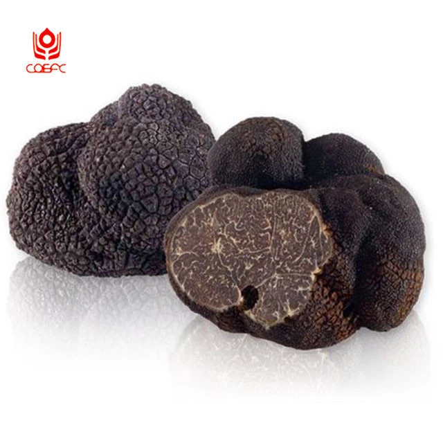 white truffle wild truffle