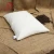 Import Wholesale Balance Medical Health Care Buckwheat Husk Pillows from China