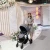 Import Wholesale China Luxury Travel System Folding Baby Egg Stroll Carriages Babies Buggy Baby Stroller 3 In 1 With Car Seat from China