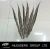Import Wholesale Dye/Natural Color Lady Bottom Pheasant Tail Feather from China