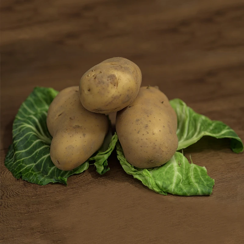 Wholesale High Quality in Bulk Fresh Potato with International Certification