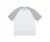 Import Wholesale Mens Crew Neck Cotton T-shirt Oversized T-shirts Raglan Short Sleeve Shirts from China
