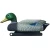 Import Wholesale Outdoor PE Mallard Duck Floater Decoy For Hunting Bait Pond Pool Decoration Manufacturer Supply from China
