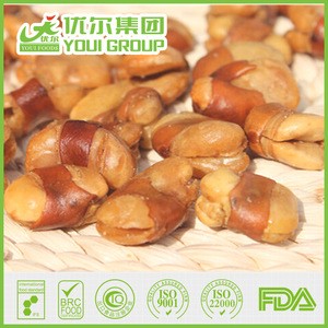 Wholesale Price Good Quality Salted Fried Broad Bean, Fried Broad Beans