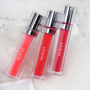 Wholesale Private Label Makeup Waterproof Moisturizing Organic Colorful Lip Gloss