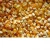 Import Yellow Corn & White Corn/Maize for Human & Animal Feed FOR SALE from South Africa