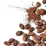 Rich Quality Cocoa Beans Blended Processing High Quality Chocolate Making Fresh Fermented Premium Quality