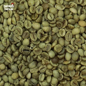 Vietnam Arabica Coffee Beans