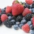 Import Fresh Strawberry, Strawberry Fresh Berries For Sale from South Africa