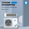 GYPEX dehumidifier   Ceiling type dehumidifier   2.5kg per hour  Industrial dehumidifier