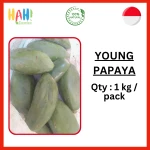 YOUNG PAPAYA