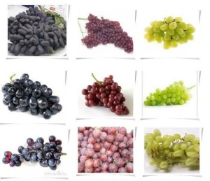 Fresh Grapes, Superior, Flame, Crimson Seedless