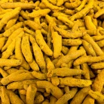 Premium Quality Turmeric for Export High Grade Organic Turmeric Root Turmeric Bulk Export Supplier