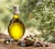 Import Olive Oil from Egypt