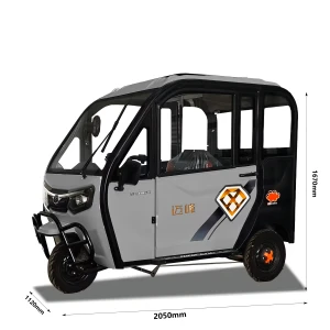 MaiFeng 60V 800W Comfortable and convenient Brand Guaranteed Passenger Leisure three-wheeler Home three-wheeler