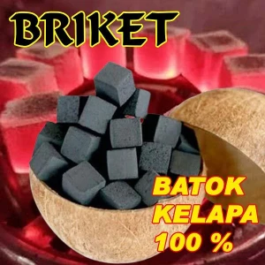 Charcoal Bricket