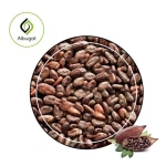 cocoa beans: