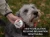 Import Holistic Natural Herbal 3-In-1 Paw Ointment For Dog and Cat. Moisturize, Condition Frostbite and Heat Burn. Made in USA. from USA