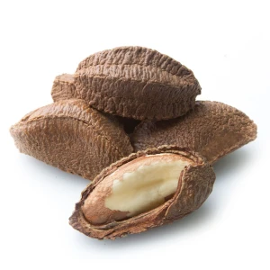 Natural Brazil Nut Shelled Selection For Bulk Export With Strict Quality Control And Sorting Process