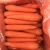 Import Top Quality Fresh 100% Organic Carrots In Wholesale Price from South Africa