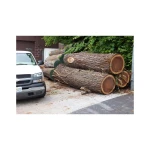 Factory Price Walnut Logs Bulk Sale Premium Wood