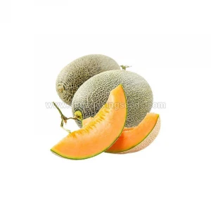 Hybrid F1 green Skin Orange Flesh Sweet Melon Seeds﻿