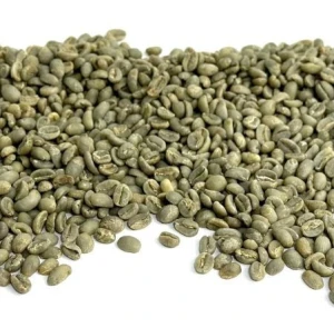 Wholesale Arabica Coffee Exporter – Premium Beans from Kenya