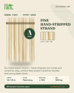 Banana Fiber