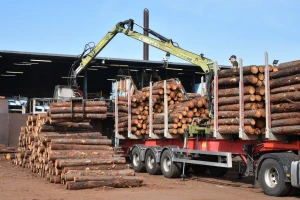 brown wood